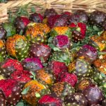 Why Pitaya (Mexican Dragon Fruit) Is So Expensive